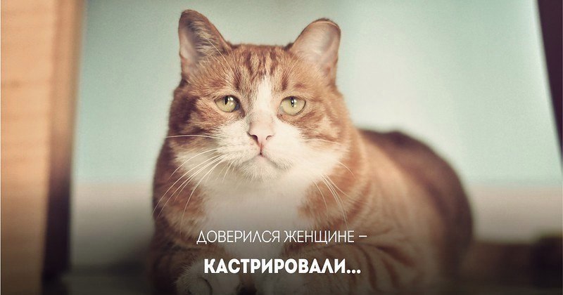 �� ���� ������� �������. #����@rules4life - 10