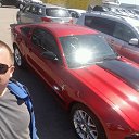 ���� �������, ���������, 41 ��� - ��������� 7 ���� 2017 � ������ ���� ����������