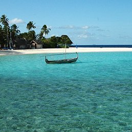 ���� ������, ����, 55 ��� - ��������� 24 ������� 2017