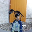 ���� ��������, ����� - ��������� 16 ������� 2017 � ������ ���� ����������