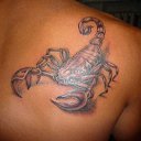 ���� �������, ������ - ��������� 10 ������� 2017 � ������ ���� ����������