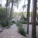 ���� ����, ����� - ��������� 22 ������� 2017 � ������ ��������� 2017 (��������)�