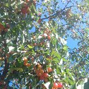 ���� ������, ������� - ��������� 25 ���� 2017 � ������ ������ ��������