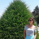 ���� �������, �����-��������� - ��������� 16 ������� 2017