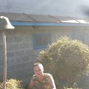 ���� ��������, ���������� �����, 36 ��� - ��������� 29 �������� 2017 � ������ ���� ����������