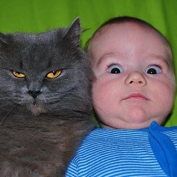 ������, ���, 64 ����