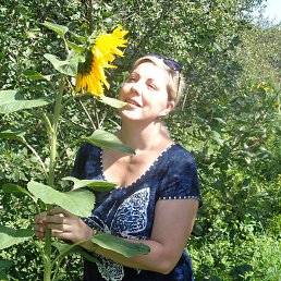 ���� �����, ������ ��������, 51 ��� - ��������� 4 �������� 2017