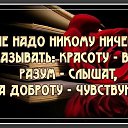 ���� ����, ������ - ��������� 1 ���� 2017 � ������ ���� ����������