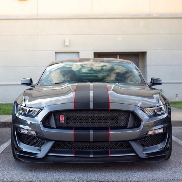 Mustang GT350R