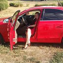 ���� ���������, ��������, 41 ��� - ��������� 12 ������� 2017 � ������ ���������� ������