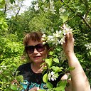 ���� �������� ��������, ������������, 58 ��� - ��������� 26 ������� 2017 � ������ ���� ����������