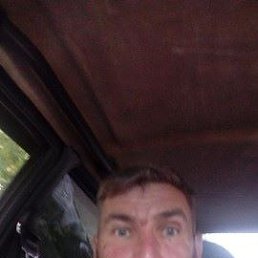 ������ �����������, ������������, 55 ���