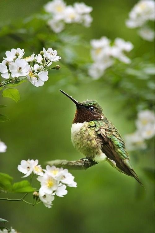 �������� ����� - � ��� ����� ���������, �������� ���� ���� - � �� �� ���. �������� ����� - ���� ... - 4