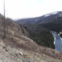 ���� "�����"