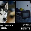 ���� �����, ������� - ��������� 22 ��� 2017 � ������ ����