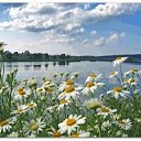 ���� ������..)), ������, 52 ���� - ��������� 13 ���� 2017 � ������ ���� ����������