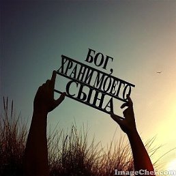 ���� �������, ��������, 40 ��� - ��������� 8 �������� 2017
