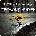 ���� �������, ����������, 46 ��� - ��������� 10 ��� 2017 � ������ ������ ��������