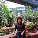 ���� ��������, ��������������, 48 ��� - ��������� 14 ������� 2017 � ������ ���� ����������