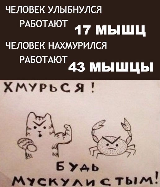    - 12  2017  13:53