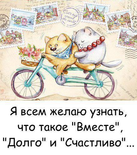   ,   .© - 9  2017  17:08