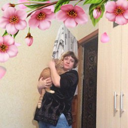 ���� ������, ������, 48 ��� - ��������� 6 ��� 2017