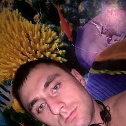 Xam, �����