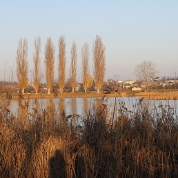 ����, �������, 57 ���