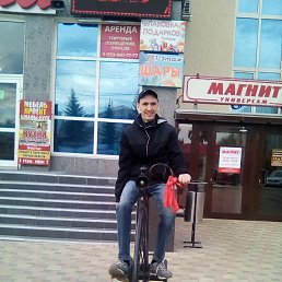 ���� ������, ����-�����������, 33 ���� - ��������� 18 ������� 2017