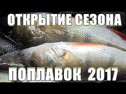 #Рыбалка на #поплавочную #удочку | #Открытие #сезона #весна 2017 | В #весенний #запрет