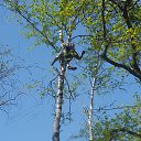 ���� ������, ������, 43 ���� - ��������� 9 ���� 2017 � ������ ���� ����������