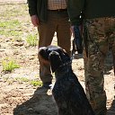 ���� ����, ���������, 60 ��� - ��������� 3 ���� 2017 � ������ ������