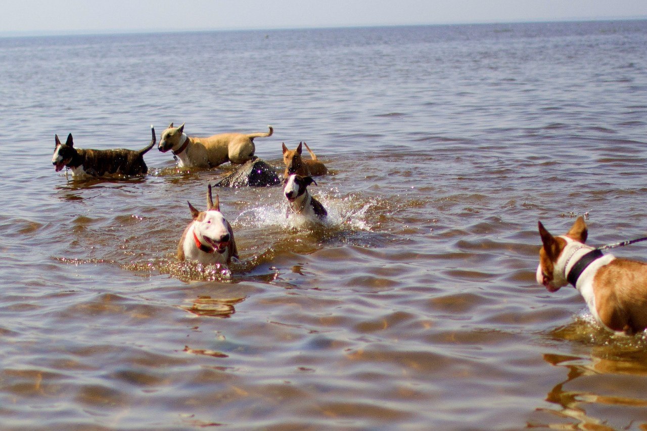 Питер ВНИМАНИЕ!!! Из-за погоды.Буле-пикник переносим на 11 число