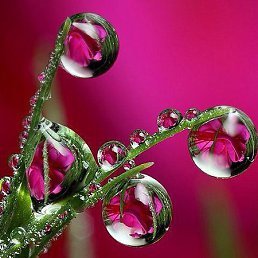 ���� �., ������, 49 ���