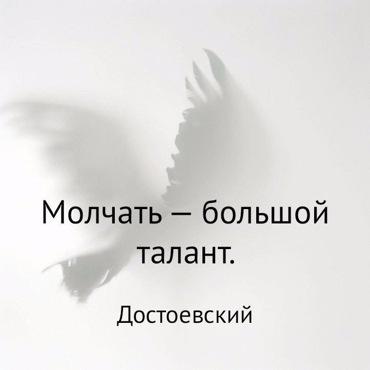   - 20  2017  12:56