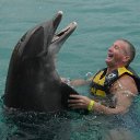 ���� ���, ������������, 62 ���� - ��������� 7 ������ 2017