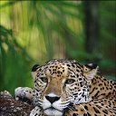 ���� ��������, ������ - ��������� 7 ������� 2017 � ������ ���� ����������