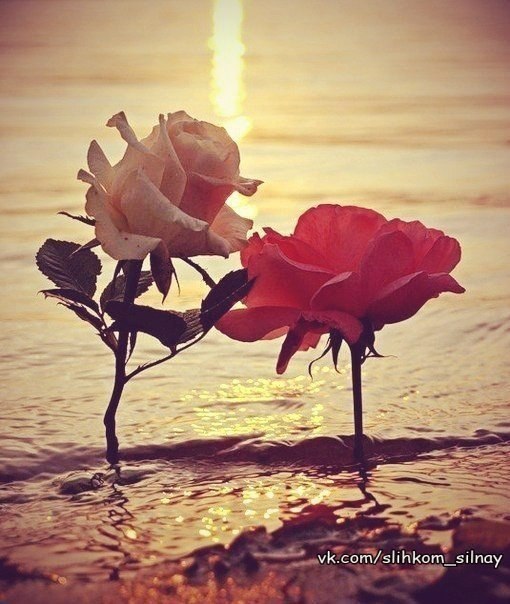 ������ ������� ���������, ����� ������ �����, � ������ �� ������� �����, ����� ������ ���������.