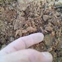 ���� �������, ���������, 57 ��� - ��������� 28 ��� 2017 � ������ ���� ����������