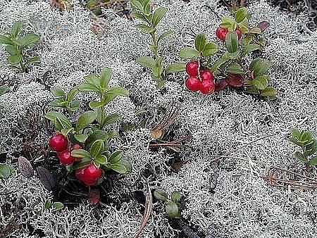 ������ �� ������. ��� ����� ��������... ��� ����� ��������� - 3