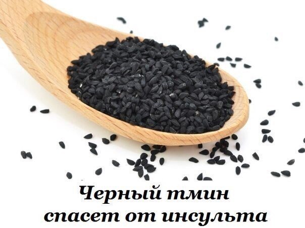 ЧЕРНЫЙ ТМИН СПАСЕТ ОТ ИНСУЛЬТА. «В черном тмине имеется исцеление от всех болезней, кроме ...