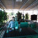 ���� ������, ���������� - ��������� 1 ������� 2017 � ������ �������