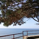 ���� �������, �����-���������, 55 ��� - ��������� 20 �������� 2017 � ������ ��� - ������������