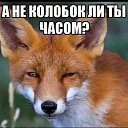 ���� �����, ������������ - ��������� 24 ������� 2017 � ������ ������ ��������