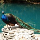 ���� Raisa, ��������� - ��������� 10 ������ 2017 � ������ ������ ��������