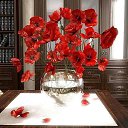 ���� ����, ������ - ��������� 31 ��� 2017 � ������ ������ ��������