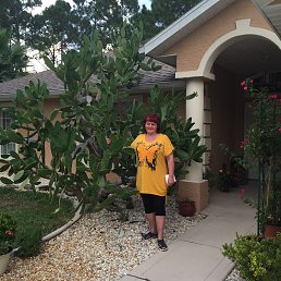 �������, �����������, 63 ����