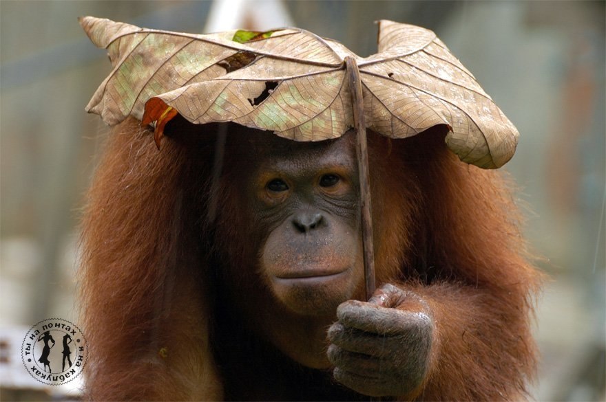 -   -    -   .   ,   ...   - ...