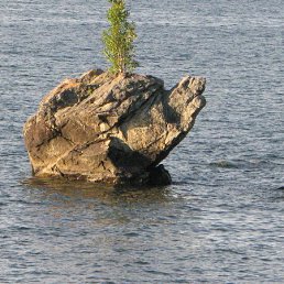 �������, ����-���