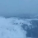 ���� ���������, ���������, 52 ���� - ��������� 15 �������� 2017 � ������ ���� ����������
